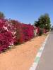 Hilli Park Hilli Park