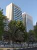 Panoramafahrt durch Abu Dhabi Panoramafahrt durch Abu Dhabi