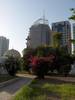 Panoramafahrt durch Abu Dhabi Panoramafahrt durch Abu Dhabi