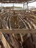Dhau Werft Dhau Werft