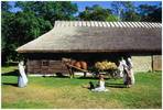 TAL02 Freilichtmuseum Rocca al Mare TAL02 Freilichtmuseum Rocca al Mare