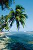 pic belize AC 020724 pic belize AC 020724