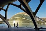 pic valencia AC 020550 pic valencia AC 020550