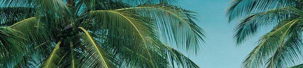 Martinique