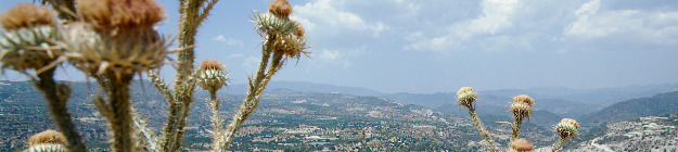 Limassol