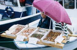 Kleiner Fischstand in Helsinki Kleiner Fischstand in Helsinki