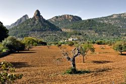 Die Berglandschaften der Insel bei einem Mallorca Urlaub nicht verpassen. Die Berglandschaften der Insel bei einem Mallorca Urlaub nicht verpassen.