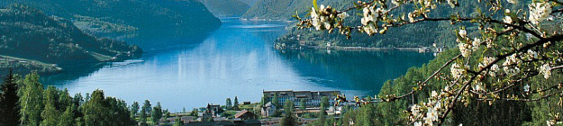 Eidfjord