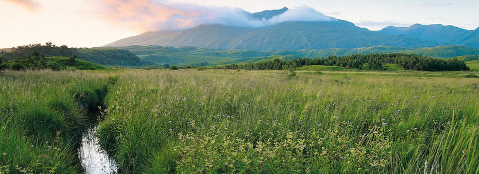 Wiese mit Panoramablick Wiese mit Panoramablick