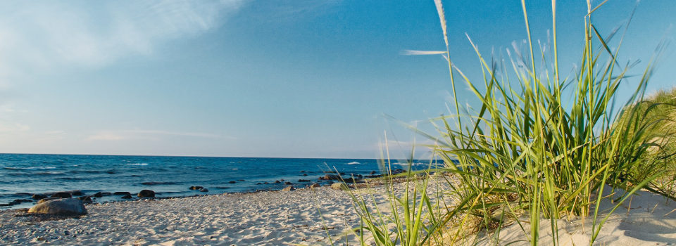 Düne mit Sandstrand und Meer Düne mit Sandstrand und Meer
