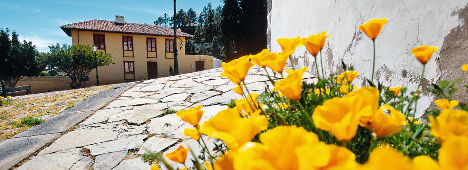 Teneriffa Teneriffa
