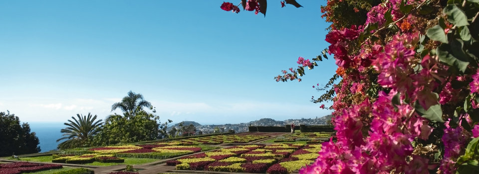Botanischer Garten in Portugal Botanischer Garten in Portugal