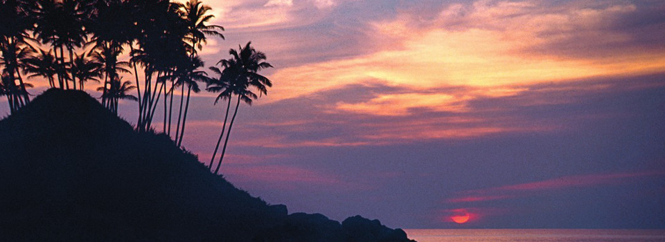 Goa Goa