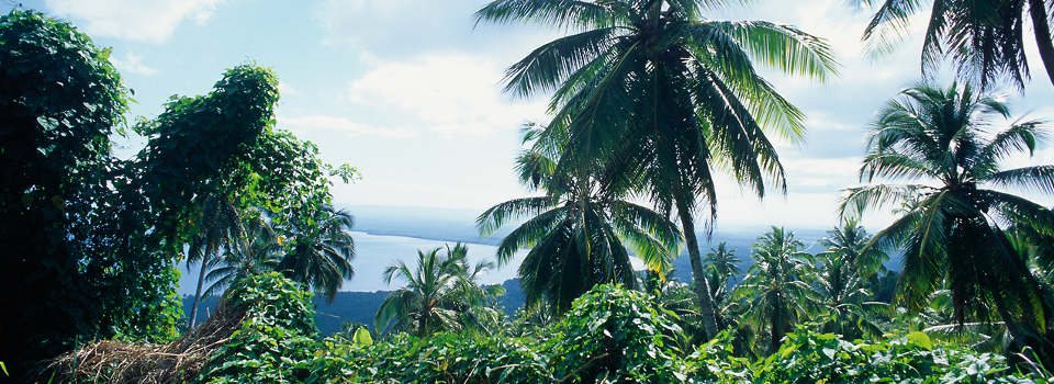Mit AIDA Samana erleben - Ein Naturparadies Mit AIDA Samana erleben - Ein Naturparadies