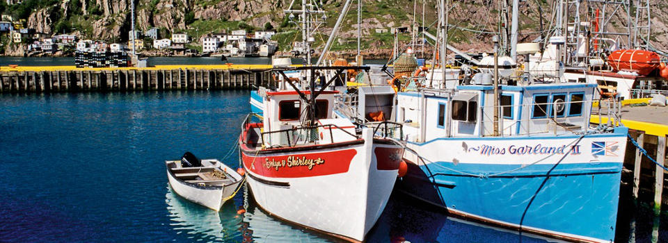 St. John's St. John's