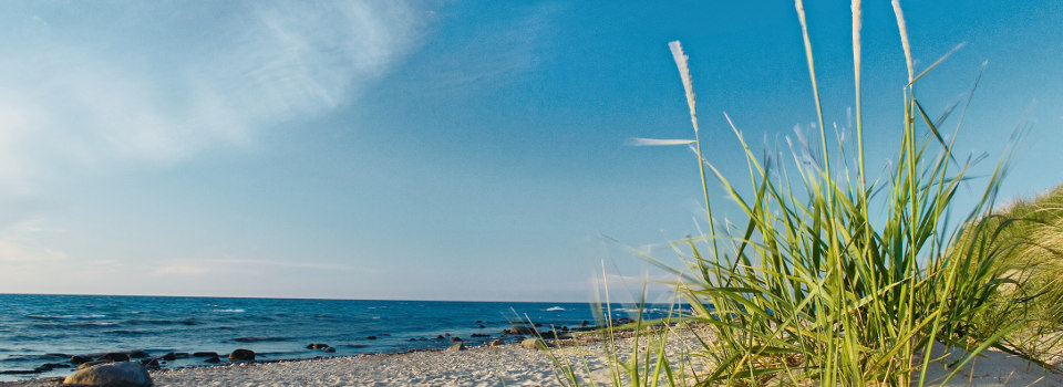 Sommer Sommer