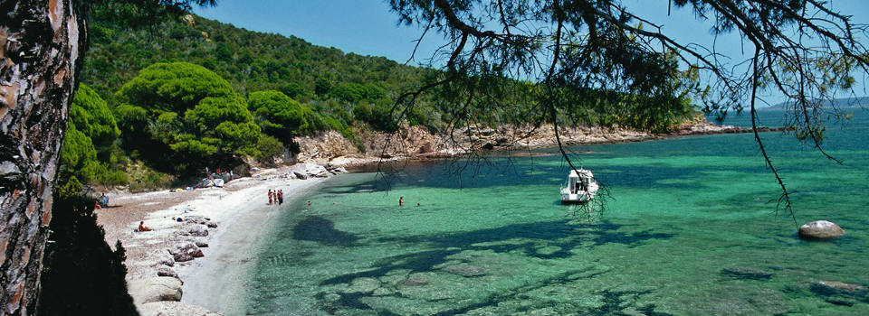 Bucht vor Korsika Bucht vor Korsika