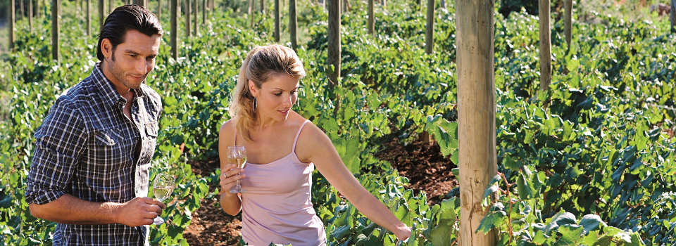 AIDA Gäste auf einem Ausflug in die Weinberge AIDA Gäste auf einem Ausflug in die Weinberge