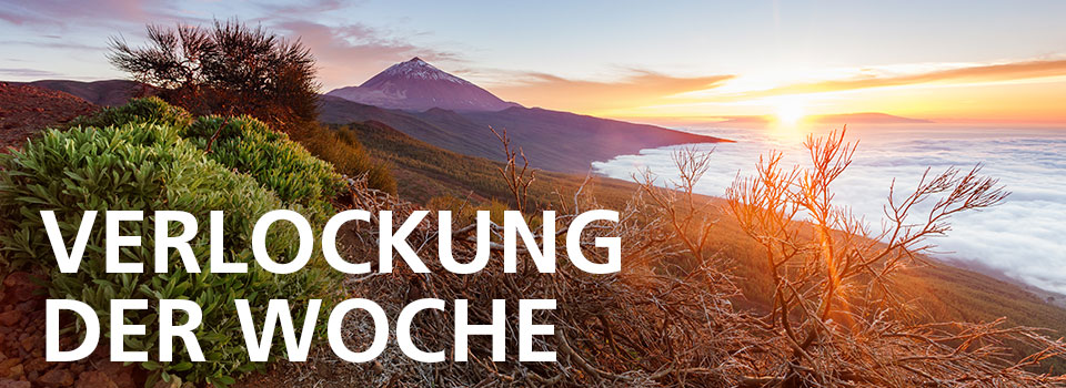 Verlockung der Woche Verlockung der Woche