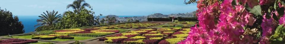 Entdecken Sie die Blumeninsel Madeira