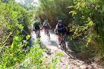 Discover Mallorca by bike