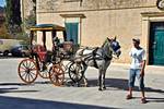 pic malta AC 020674