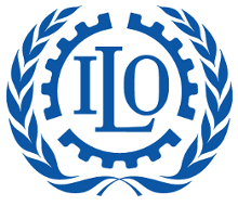 Certification of the fleet according to the Maritime Labor Convention (MLC)